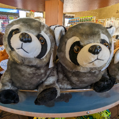 Stuffed animals at the gift shop